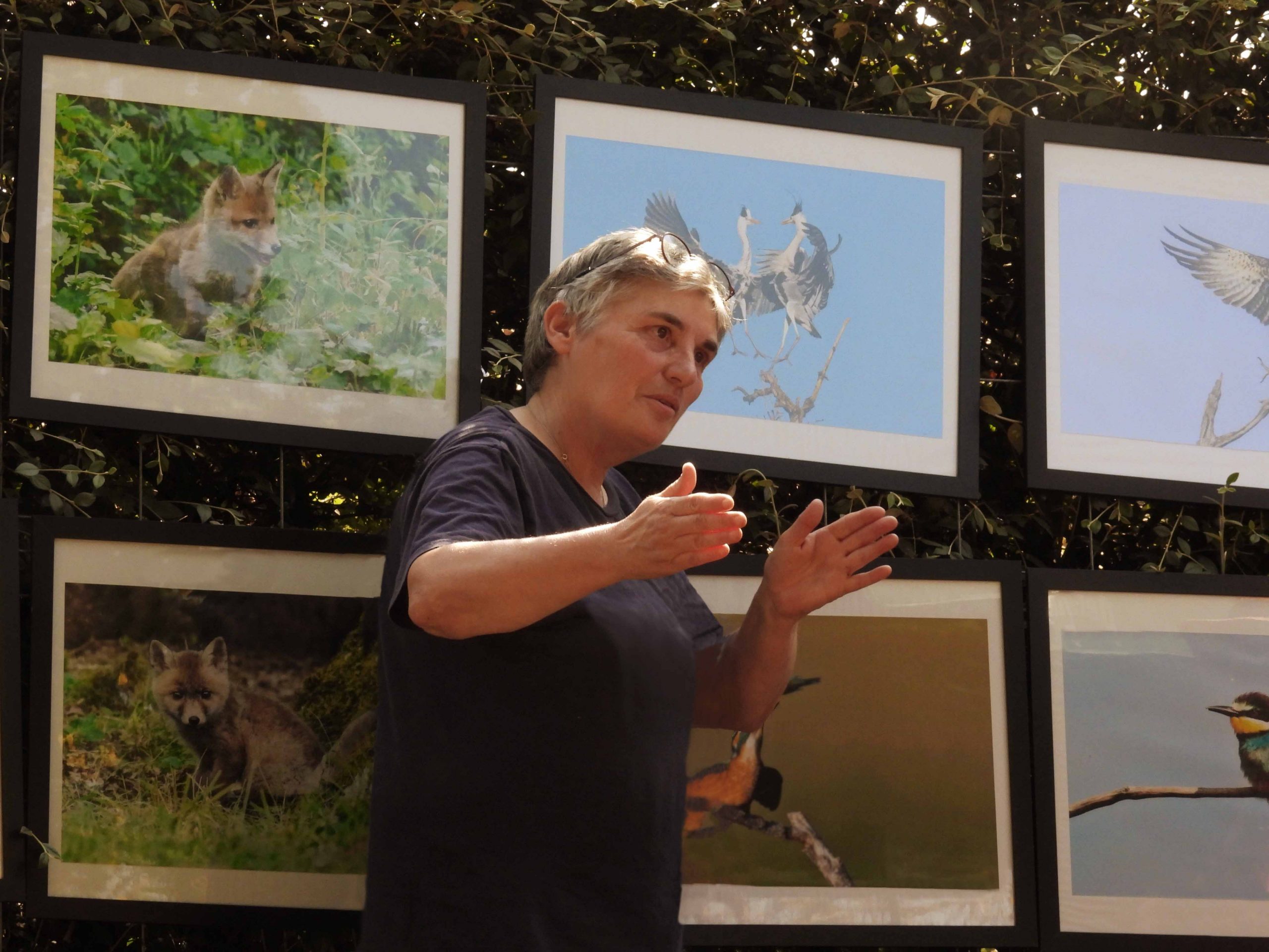 EXPOSITIONS 2022 AUX CHÂTEAUX DE BRUNIQUEL : De Peintures et photos