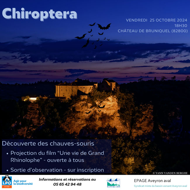 Soirée Découverte des chauves-souris